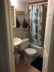 Walk-Out 1 bdr bsm apart. 1prk ,$1700 HW 7/Dufferin /Rutherford - Photo 11