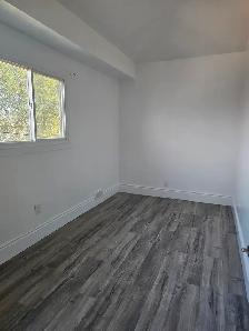 Room for Rent - Photo 3