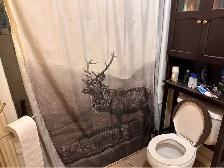 Brantford room for rent near WLU - Photo 5