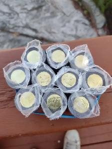 2023 black ring toonies unc rolls memory of the Queen - Photo 2