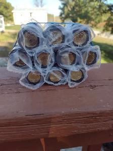 2023 black ring toonies unc rolls memory of the Queen - Photo 3
