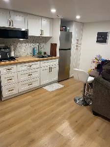 Amazing 1-bedroom basement suite in beautiful Legacy SE!$1,350 - Photo 2