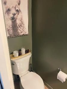 Amazing 1-bedroom basement suite in beautiful Legacy SE!$1,350 - Photo 7
