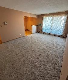 Spacious Top-Floor Corner Unit in Desirable North Regina! - Photo 3