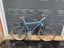 Mountain Bike, 20 inches, $150