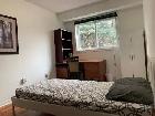 Furnished Private Room   Utilities & WiFi in Center Mississauga - Photo 3
