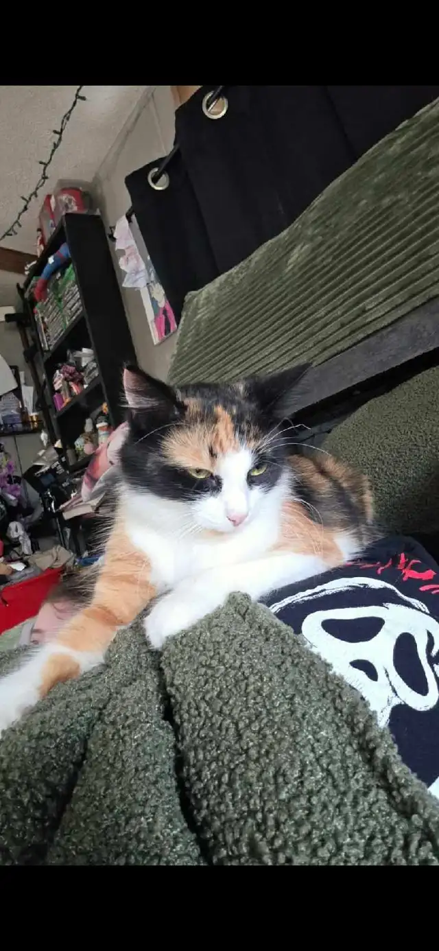 In need of a new home!