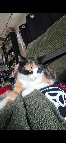 In need of a new home!