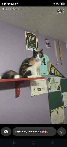 In need of a new home! - Photo 2