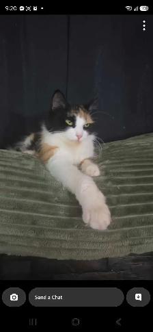 In need of a new home! - Photo 3
