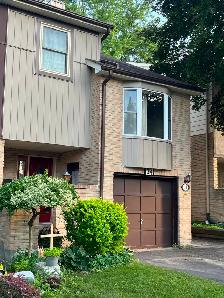Markham 4   1 bedrooms with separate entrance basement apartment - Photo 2