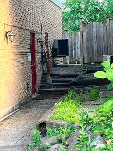 Markham 4   1 bedrooms with separate entrance basement apartment - Photo 3