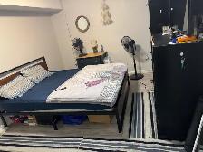 One bedroom legal basement for rent