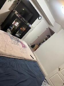 One bedroom legal basement for rent - Photo 3