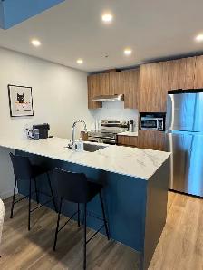 Cession de bail – Condo locatif 3½ en face du métro Cartier - Photo 6