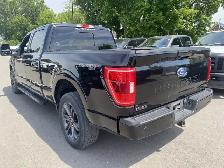 2023 Ford F-150 XL 4WD SuperCrew 5.5' Box - Photo 5