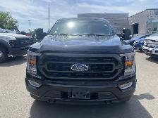 2023 Ford F-150 XL 4WD SuperCrew 5.5' Box - Photo 8