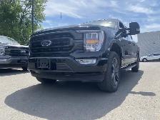 2023 Ford F-150 XL 4WD SuperCrew 5.5' Box - Photo 9