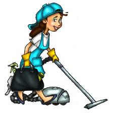 Cleaning lady (best price & service) 647-913-3312