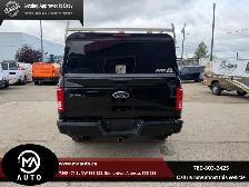 2017 Ford F-150 4WD Reg Cab 122.5' XL - Photo 5