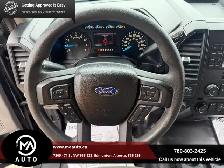 2017 Ford F-150 4WD Reg Cab 122.5' XL - Photo 9