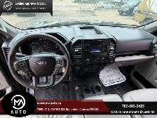 2017 Ford F-150 4WD Reg Cab 122.5' XL - Photo 10