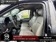 2017 Ford F-150 4WD Reg Cab 122.5' XL - Photo 11