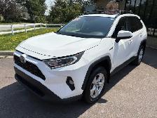 2021 Toyota RAV4 - Photo 3
