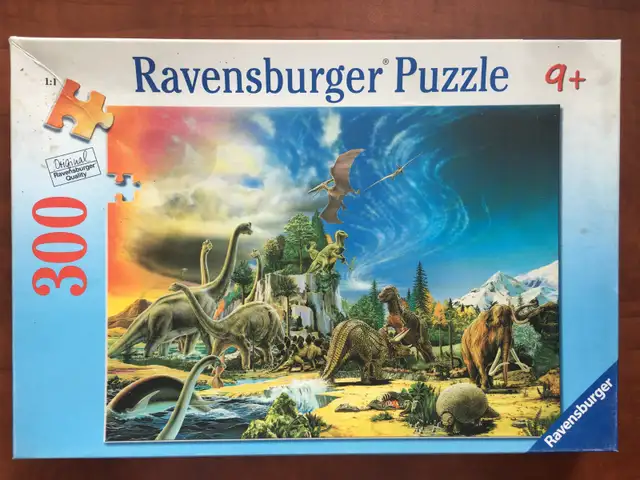 Casse-têtes / Puzzles (5 CT) – 300 à 350 pièces (noIII)