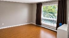 STUDENT ROOMS FOR RENT -WALKING DISTANCE TO CONESTOGA COLLEGE - Photo 4