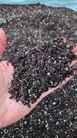 Premium Potting Soil - 1 Cubic Yard with FREE TORONTO DELIVERY - Photo 2