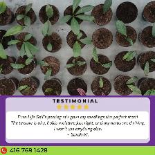 Premium Potting Soil - 1 Cubic Yard with FREE TORONTO DELIVERY - Photo 4