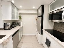 Renovated One Bedroom Basement Apartment in Leslieville - Photo 3