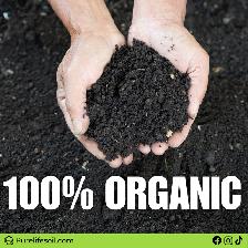 Premium Organic Soil for Lawn Top Dressings - 1 Cubic Yard - Photo 2