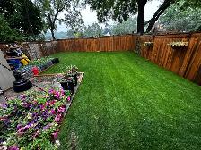 Premium Organic Soil for Lawn Top Dressings - 1 Cubic Yard - Photo 3