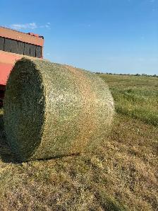 Hay for sale