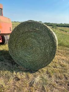 Hay for sale - Photo 2