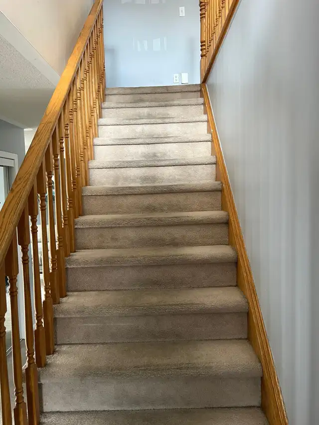Shampoo Steam Carpet Stairs-Rooms $40