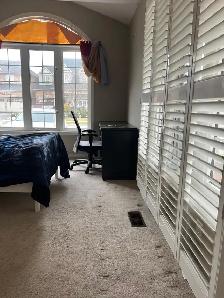 Shampoo Steam Carpet Stairs-Rooms $40 - Photo 2