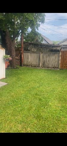 Oshawa, bright,  main floor, legal bachelor apartment $1499 - Photo 5