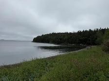 0 Main St, Dog Bay - Photo 8