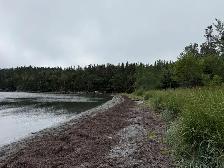 0 Main St, Dog Bay - Photo 10