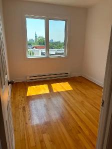G. 4-1/2 Hochelaga Maisonneuve Disp. maintenant ou le 1er sept - Photo 7