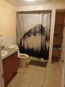 Two bedrooms basement apartment for rent : Brampton - Photo 3