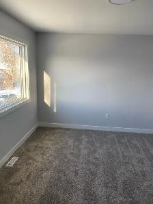 3 bed, 2 bath house for rent in Minto Area - Photo 9