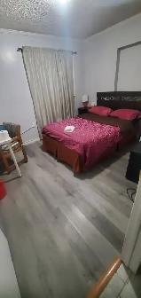 1/2 OFF 1ST MONTH CLEAN ROOM FOR 1  BRAMPTON SEPT1  420 FRIENDLY - Photo 2