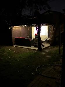1/2 OFF 1ST MONTH CLEAN ROOM FOR 1  BRAMPTON SEPT1  420 FRIENDLY - Photo 10