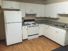 Bright 2-Bedroom Suite Near Robert Burnaby Park – Utilities Incl