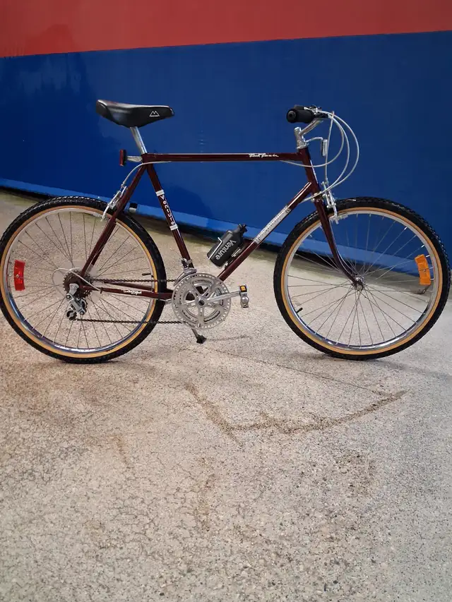 1986 Venture roadrunner mountain tour