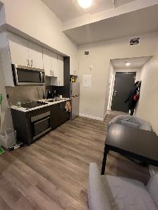 Furnished One-Bedroom/Bachelor for Rent Near Ottawa University - Photo 6